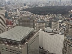 -东京都厅舍
