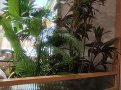 -如轩海鲜砂锅粥(国际能源店)