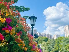 -荔湾湖公园