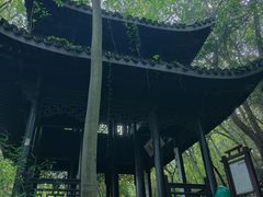 -龙井草堂