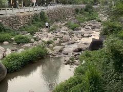 -东天目山风景区