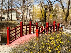 -玲珑塔公园