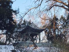 -陶然亭公园