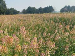 -中国天府农业博览园