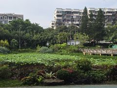 -光明港公园