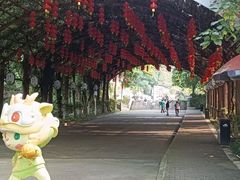 -清溪大王山森林公园
