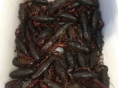 扇贝，生耗，-宾朋海鲜特色美食餐厅·纯手工鲅鱼水饺(兴海路店)