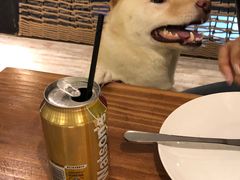 -百好乐宠物友好餐厅(朝外大街店)