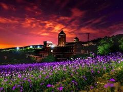 -洪湖湿地生态园