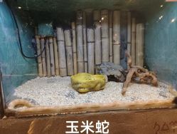 -奇幻萌宠部落(映月湖环宇城店)