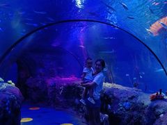 -沈阳海洋探索中心