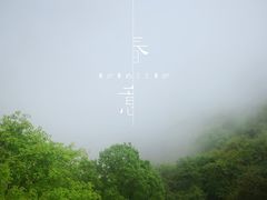-少华山国家森林公园