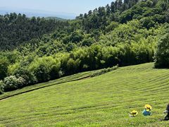 -敬亭山风景名胜区