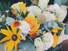 -那琴半岛地质海洋公园