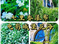 -府河摄影公园