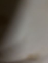 -依格宝IL COLPO明星店