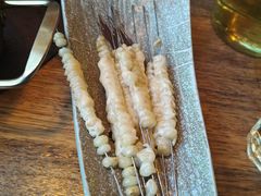 -野人部落(荷兰村店)