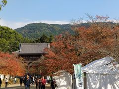 -醍醐寺