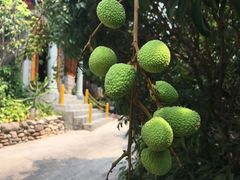 -晓雯人家