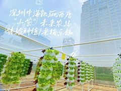 -深圳中海凯骊酒店