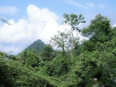 -花溪公园