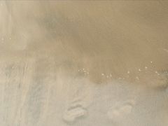 -汕尾风车岛