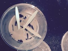 -牧歌KTV(广济南路店)