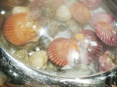 -苏大嘴海鲜牧场(奥林匹克店)