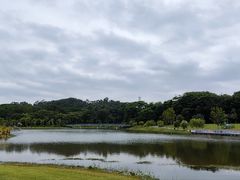 -东莞植物园