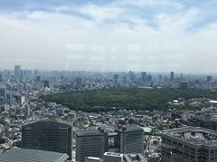 -东京都厅舍
