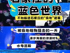 -石家庄极地海洋世界