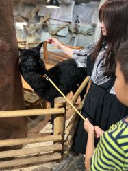 -Zoolung Zoolung动物主题公园(海信广场店)