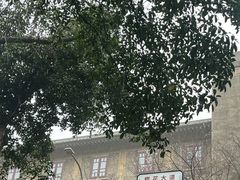 -武汉大学-樱园