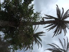 iphone_upload_pic-鹅銮鼻公园