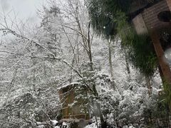 -西岭雪山大飞水景区