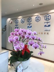 -丽美妍医疗美容·皮秒·立体分层抗衰