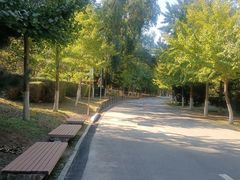 -长白岛森林公园