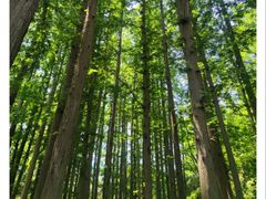 -棒棰岛宾馆景区