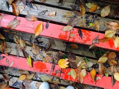 -青峰峡国家森林公园