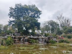 -东莞植物园