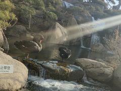 -罗红摄影艺术馆