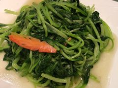 -北京老铺烤鸭(西稍门店)