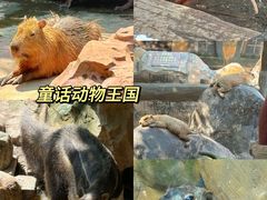 -长鹿旅游休博园