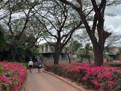 -海南鉴湖蓝湾高尔夫球会