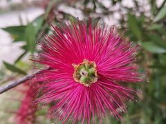 -桤木河湿地公园