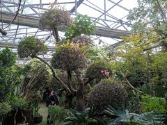 -呀路古热带植物园