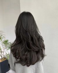-查克拉造型