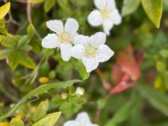 -苏州河梦清园环保主题公园