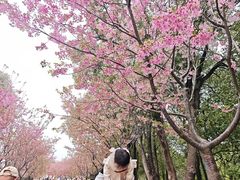 -凤凰沟景区