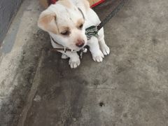 -小六农家乐(崇明西沙湿地店)